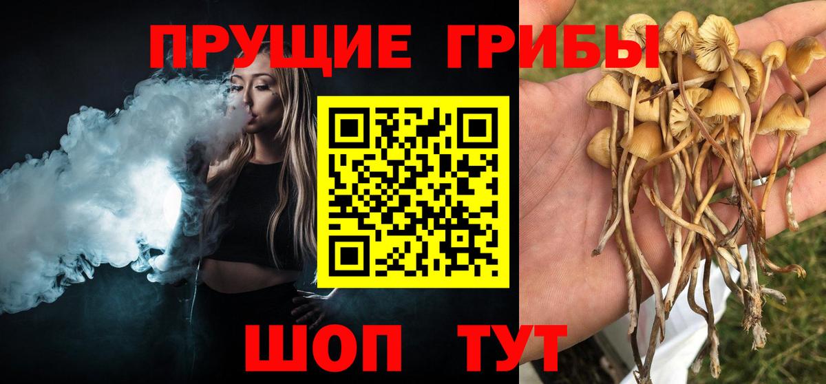 Псилоцибиновые грибы прущие грибы Добрянка