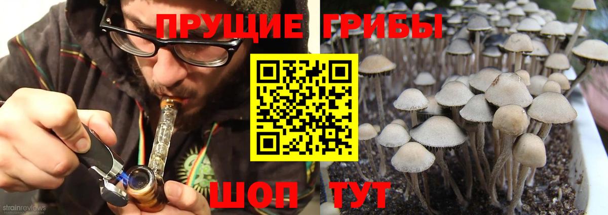 Добрянка  Галлюциногенные грибы мухоморы  дарнет шоп  Вход с VPN 
